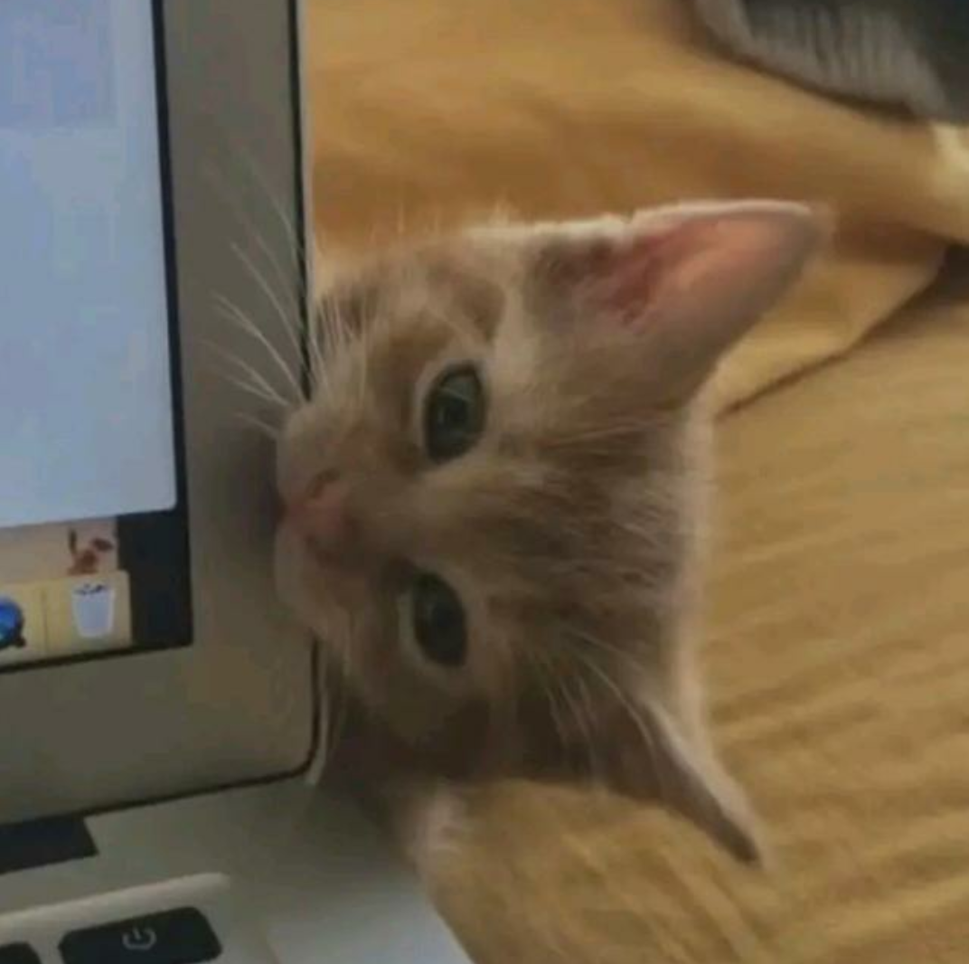 TestX Brand TestX Category 5353